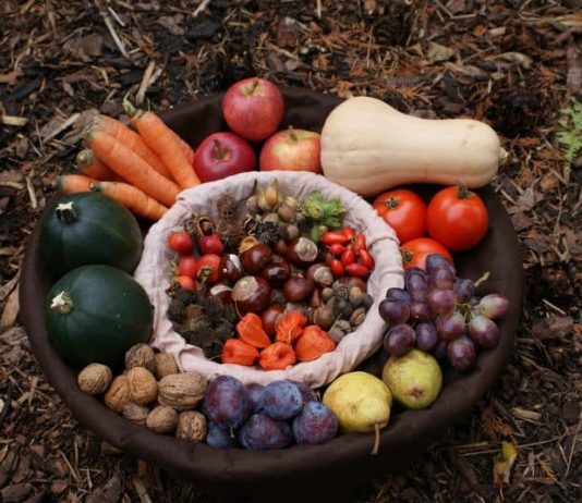 Image d'illustration : fruits et légumes d'automne