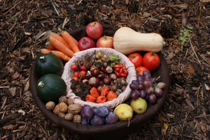 Image d'illustration : fruits et légumes d'automne