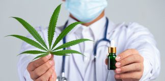 CBD cannabis legalisation