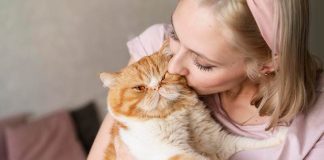 Tout comme nous, les chats peuvent dÃ©velopper des cancers et sont soumis aux mÃªmes facteurs environnementaux favorisants.